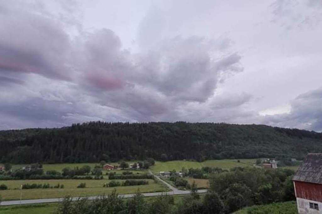 Appartamento Skogan Leirfjord Esterno foto