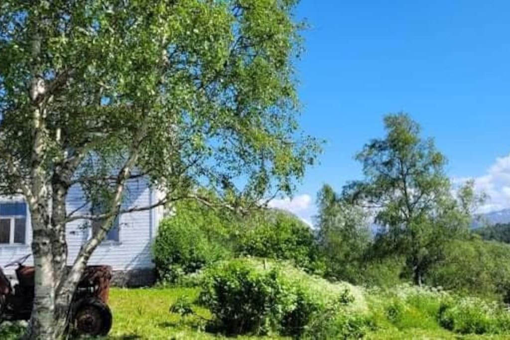 Appartamento Skogan Leirfjord Esterno foto